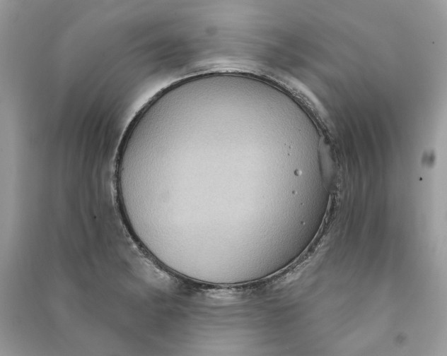 X0000090731182200708101633