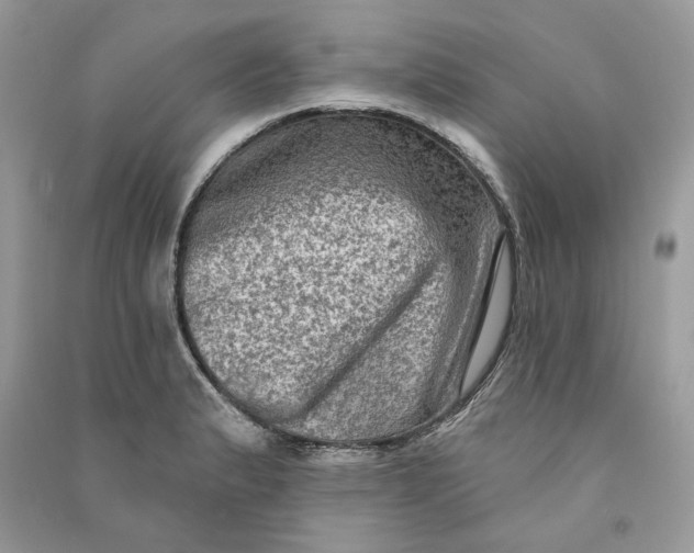 X0000090731183200708101633