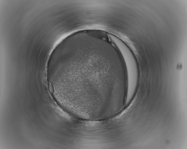 X0000090731184200708101633