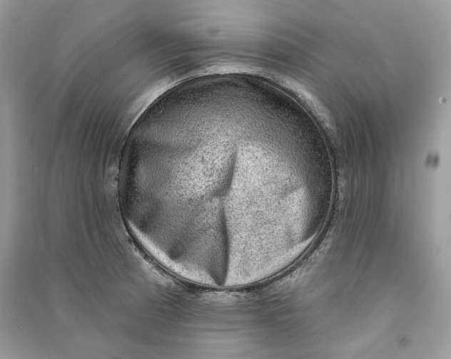 X0000090731185200708101633