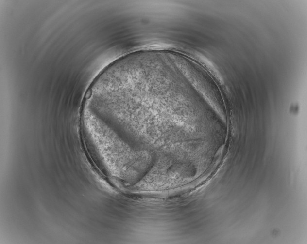 X0000090731186200708101632