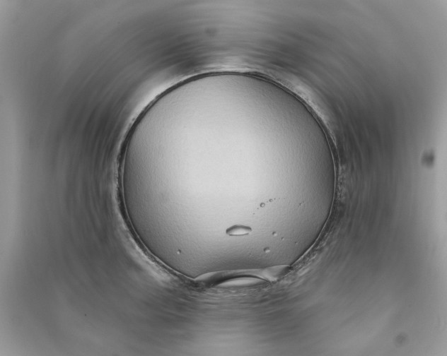 X0000090731187200708101632