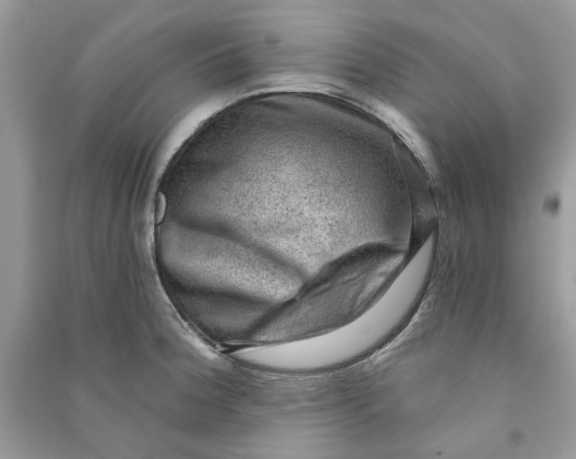 X0000090731188200708101632