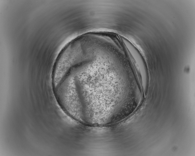 X0000090731189200708101632