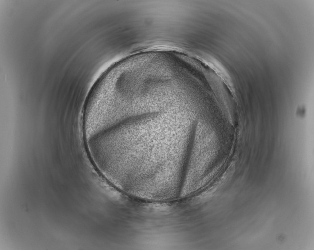 X0000090731190200708101632