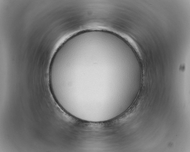 X0000090731191200708101632