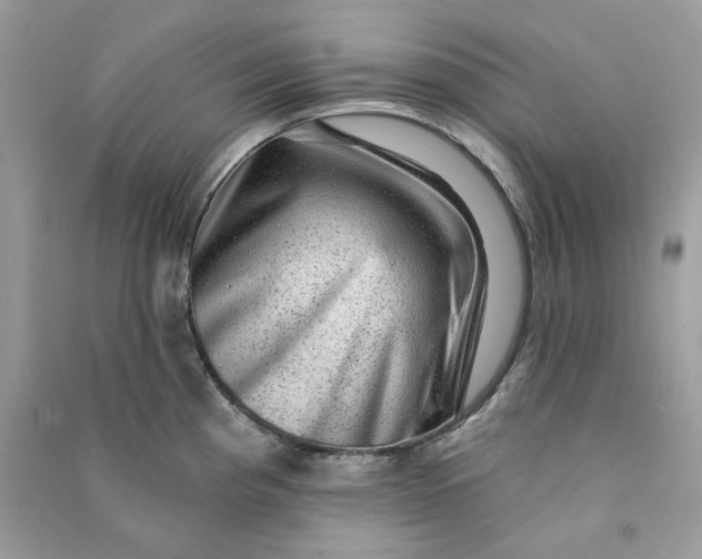 X0000090731193200708101632