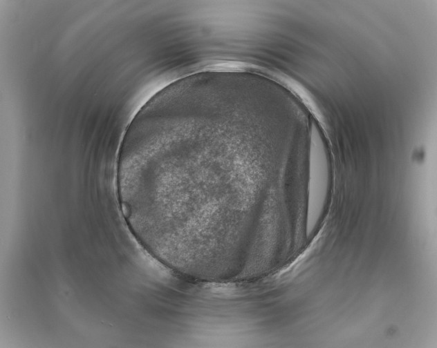 X0000090731194200708101632