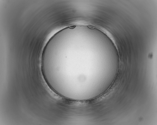 X0000090731195200708101632