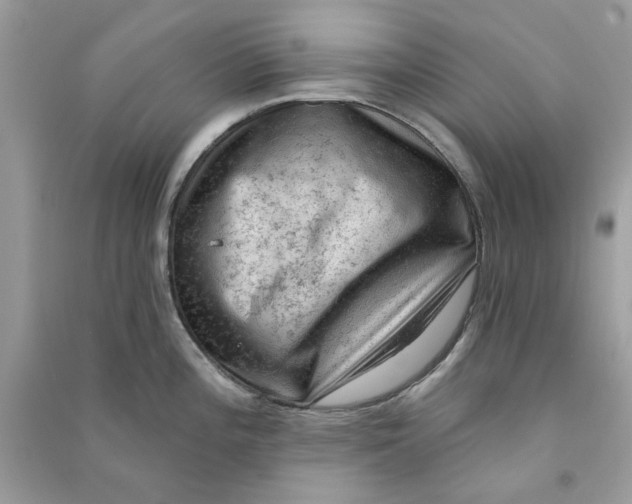 X0000090731196200708101632