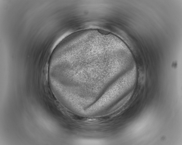 X0000090731198200708101632