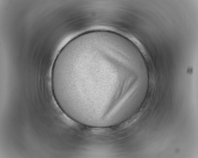 X0000090731199200708101632