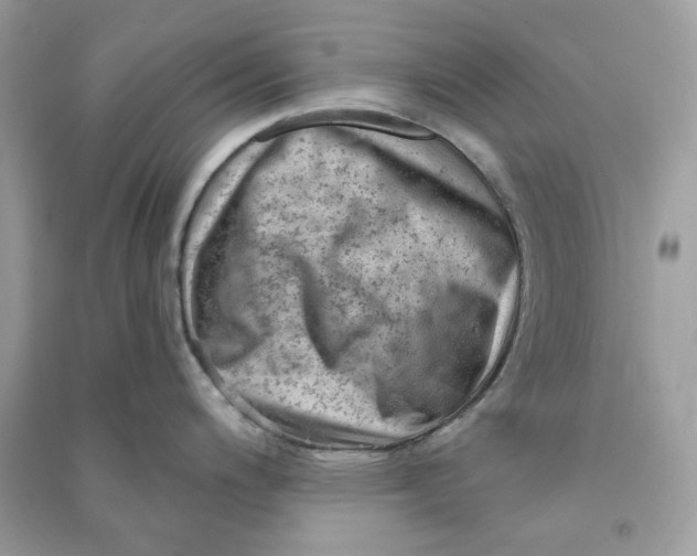 X0000090731200200708101632