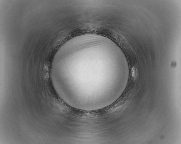 X0000090731203200708101632