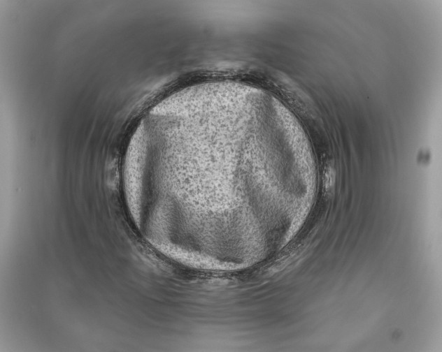 X0000090731204200708101632