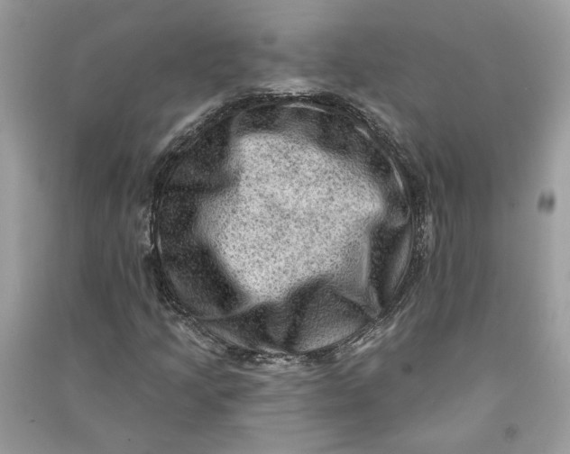 X0000090731205200708101632