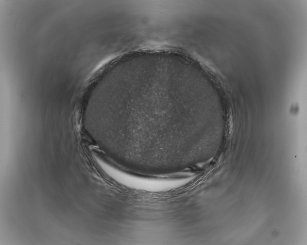 X0000090731206200708101632