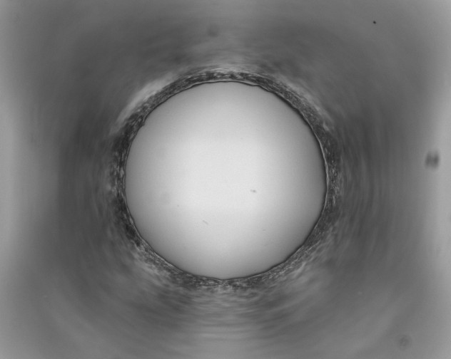 X0000090731207200708101632