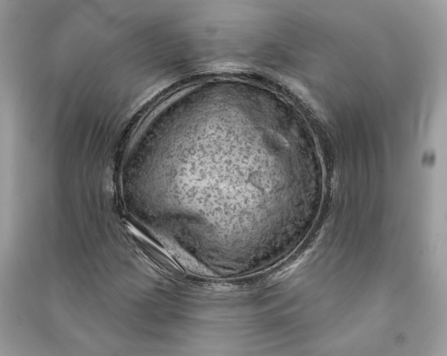 X0000090731209200708101632