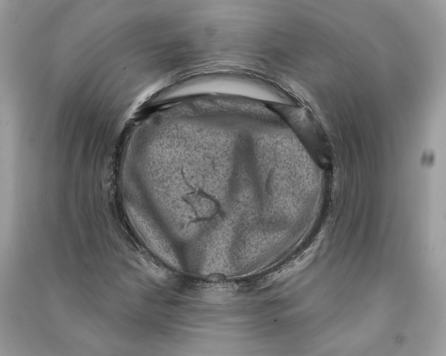 X0000090731210200708101632