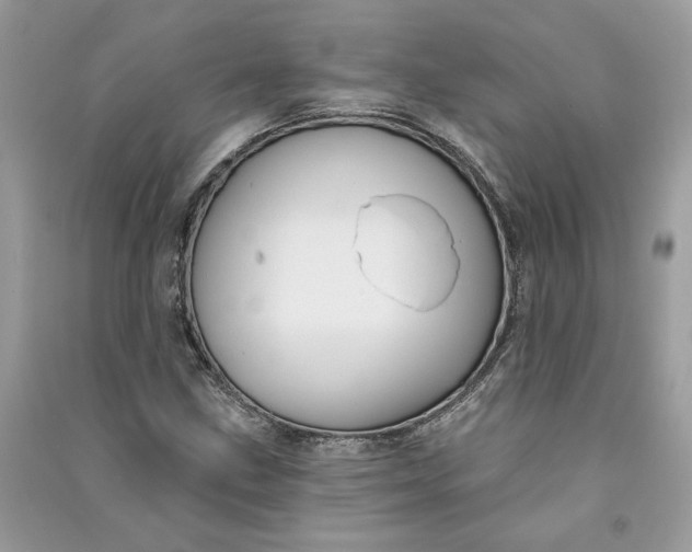 X0000090731211200708101632