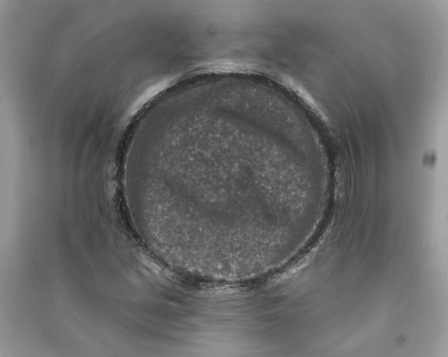 X0000090731213200708101632