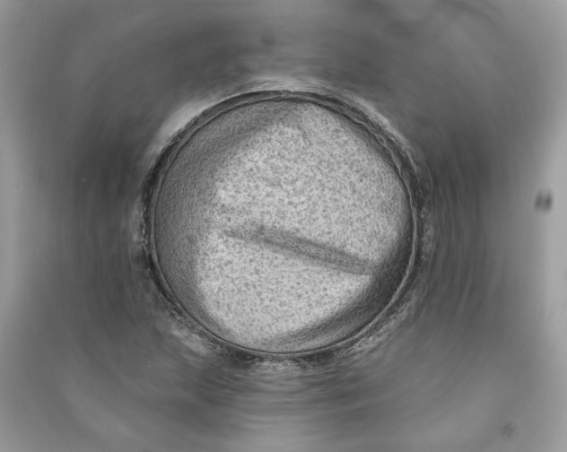 X0000090731215200708101632