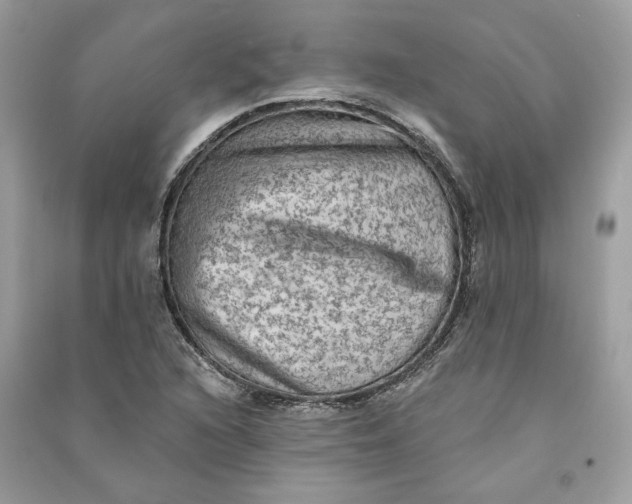 X0000090731216200708101632