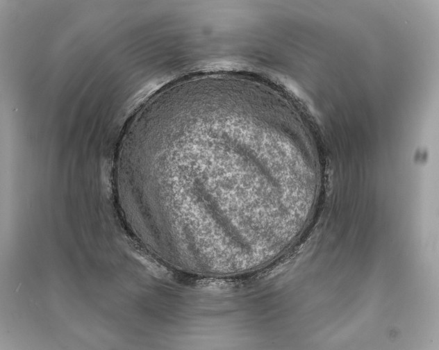 X0000090731217200708101632