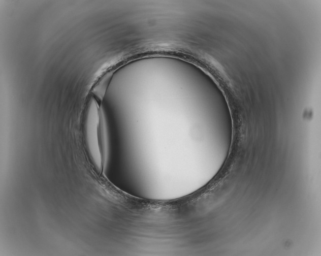 X0000090731218200708101632