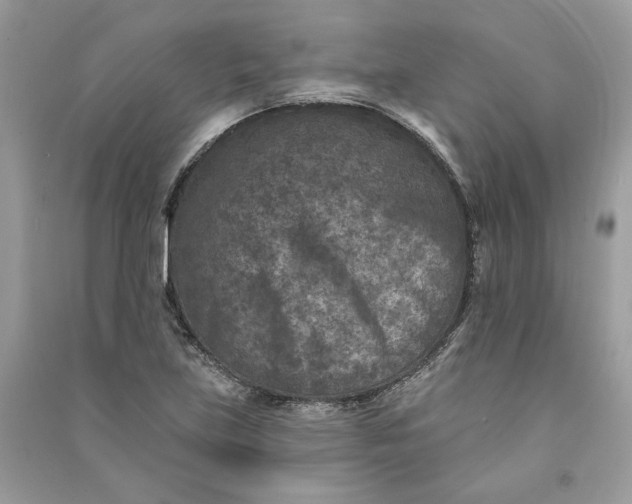 X0000090731219200708101632