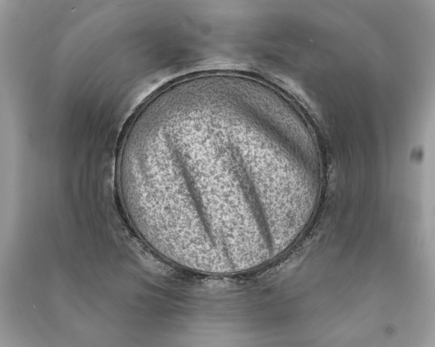 X0000090731220200708101632