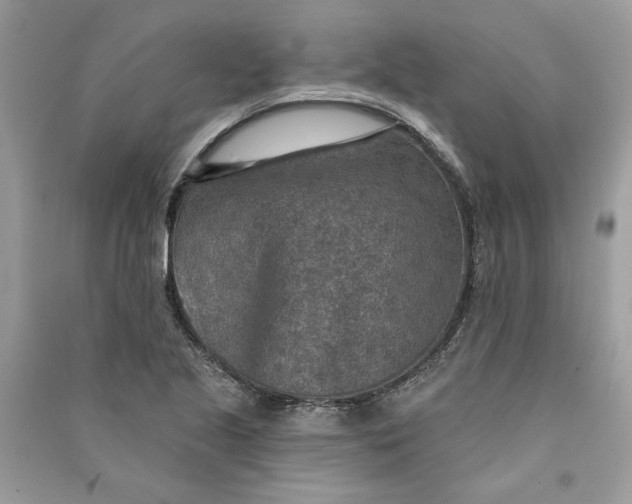 X0000090731221200708101632