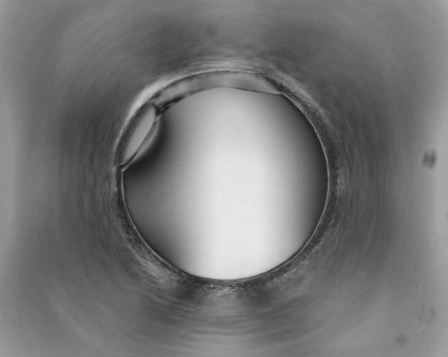 X0000090731222200708101632