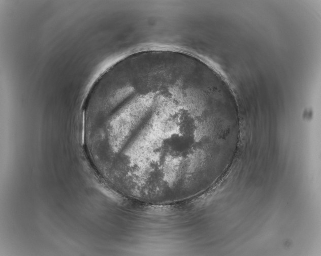 X0000090731223200708101632