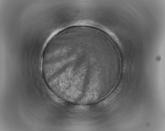 X0000090731224200708101632