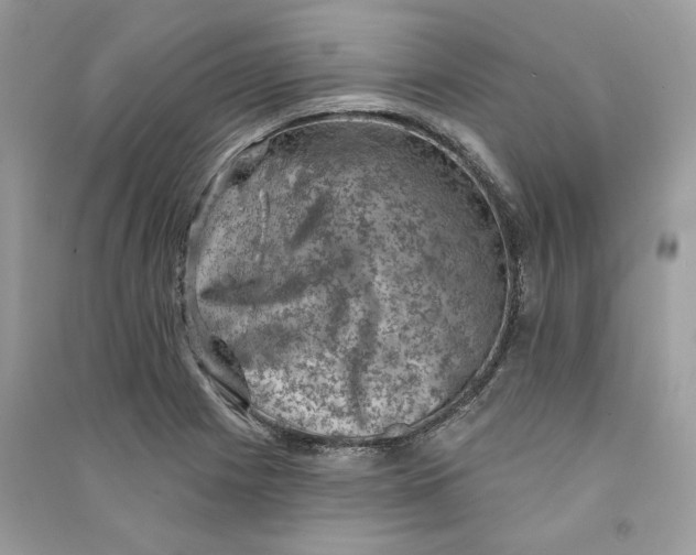 X0000090731225200708101632