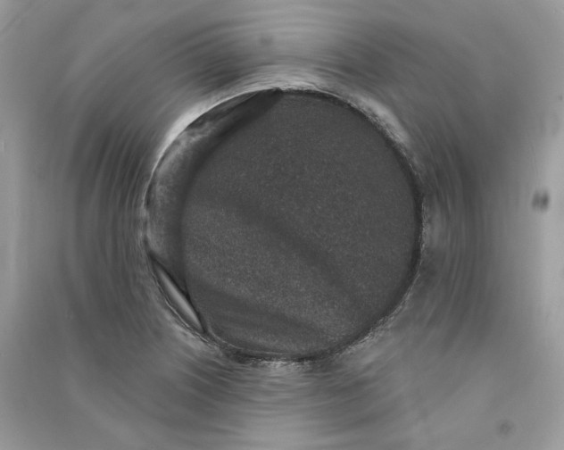 X0000090731226200708101632