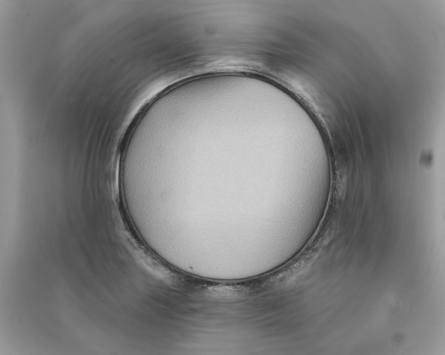 X0000090731227200708101632