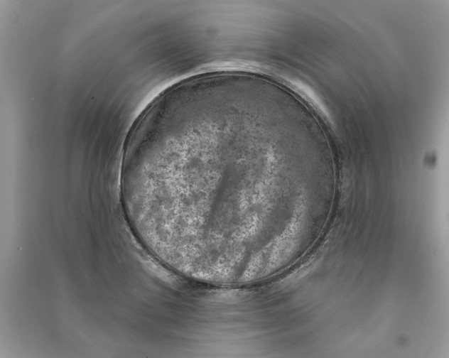 X0000090731228200708101632