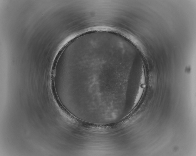 X0000090731229200708101632