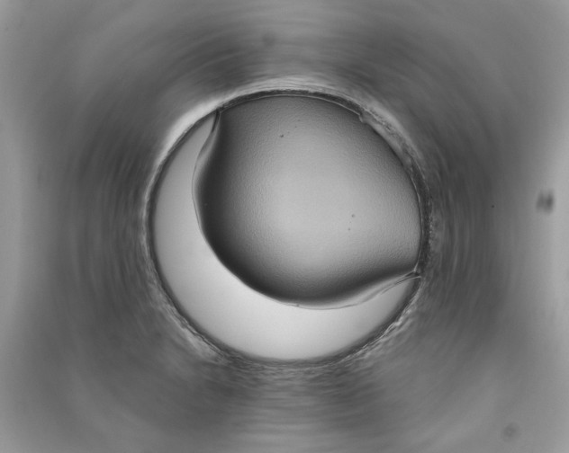 X0000090731230200708101632