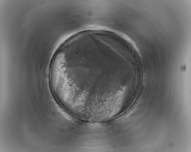 X0000090731231200708101632