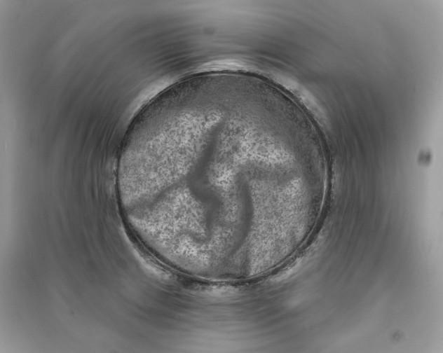 X0000090731233200708101632