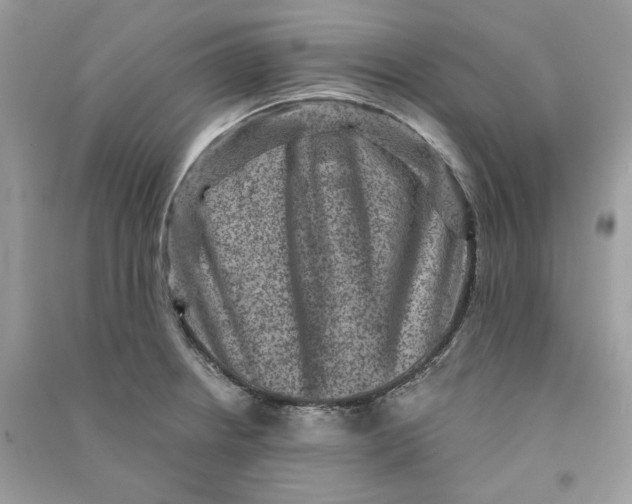 X0000090731234200708101632