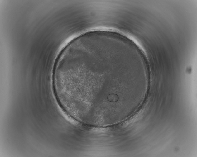 X0000090731237200708101632