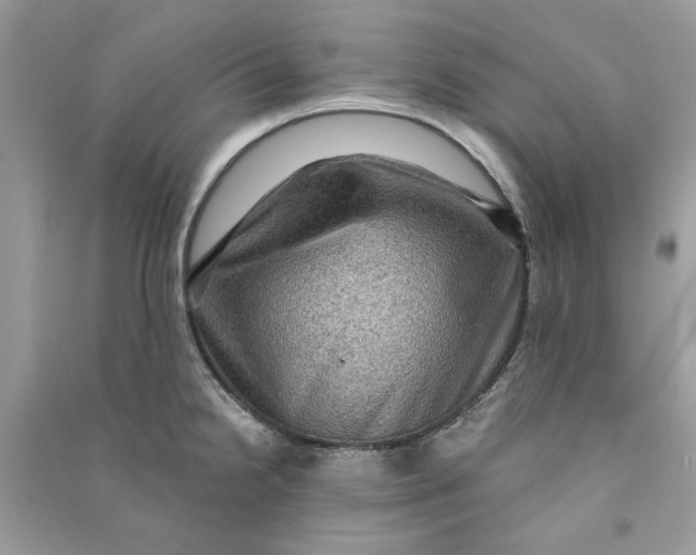 X0000090731238200708101632