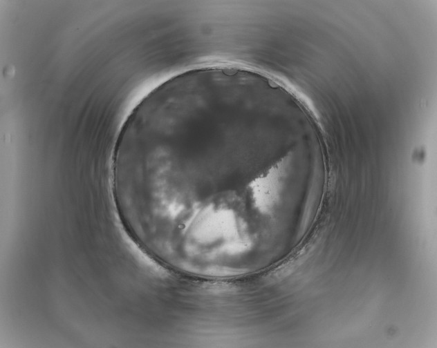 X0000090731239200708101632