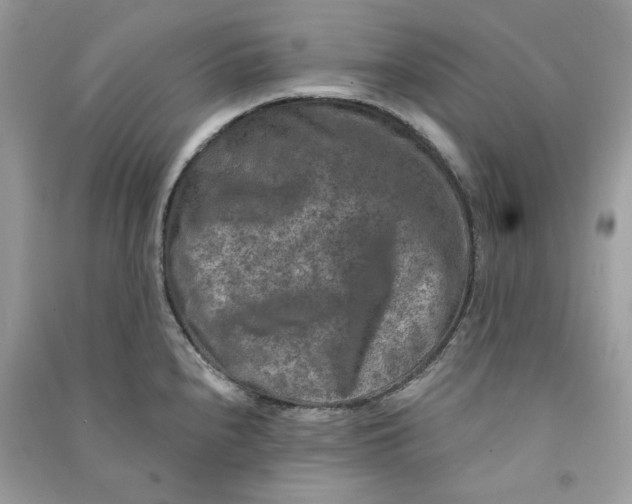 X0000090731240200708101632