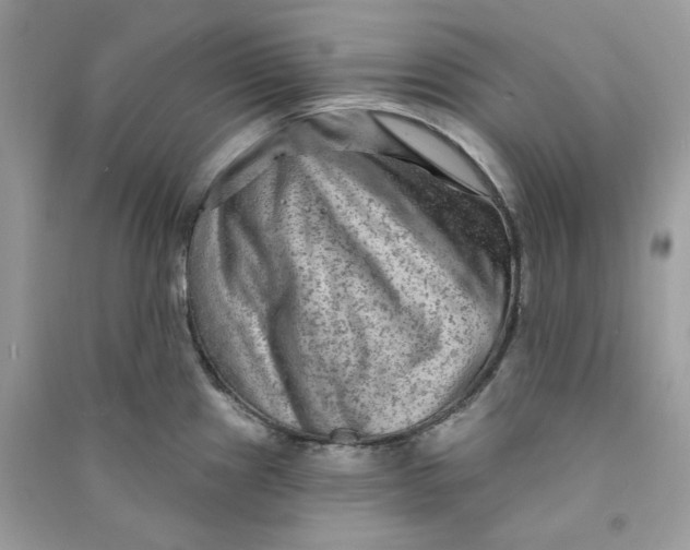 X0000090731241200708101632